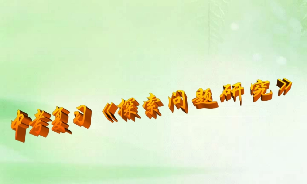 中考数学探索性问题研究复习课件