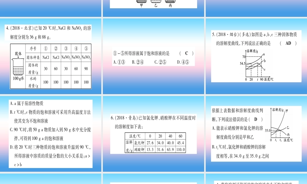 (云南专用)中考化学总复习 专项突破四 溶解度及溶解度的书写课件