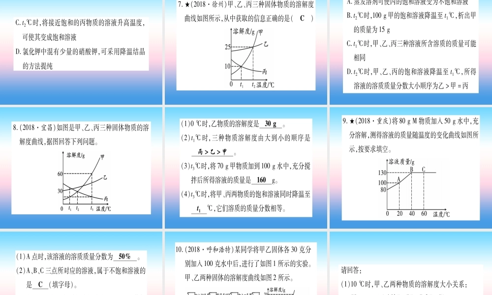 (云南专用)中考化学总复习 专项突破四 溶解度及溶解度的书写课件