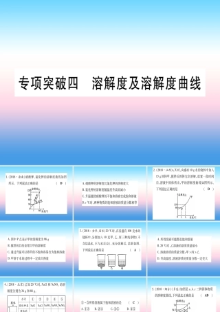 (云南专用)中考化学总复习 专项突破四 溶解度及溶解度的书写课件
