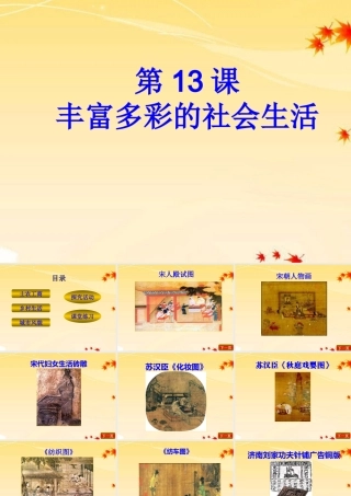 七年级历史下册 第13课(丰富多彩的社会生活)课件2 北师大版 课件