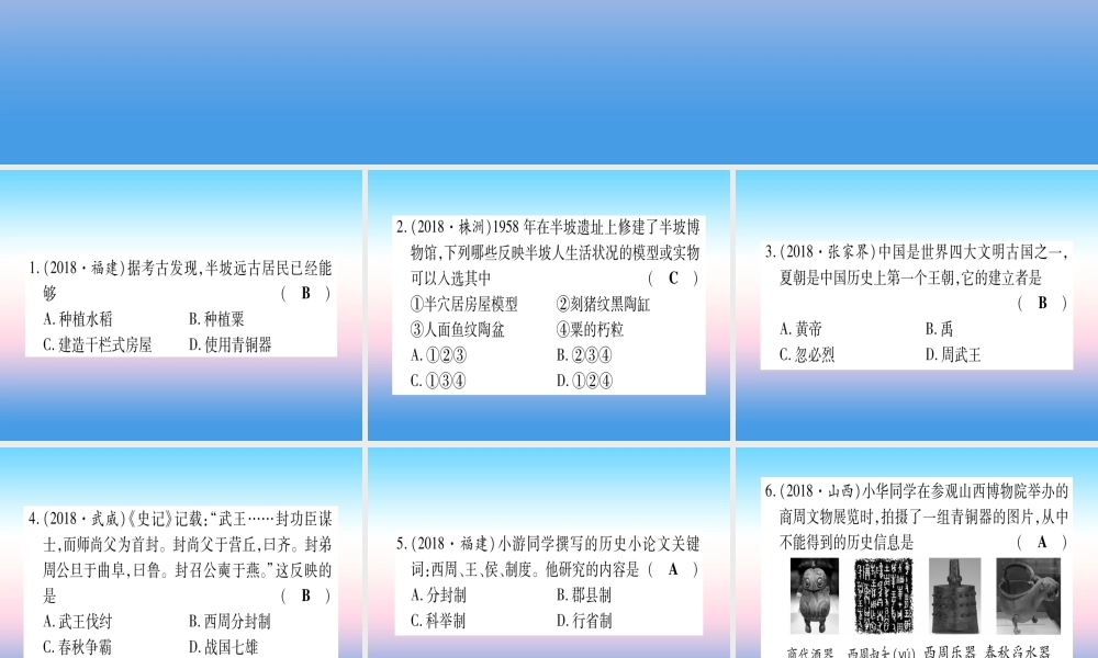 (云南专用)中考历史总复习 第一篇 考点系统复习 板块1 中国古代史 主题一 中华大地上的史前时代 国家的产生和社会变革—夏商周(精练)课件