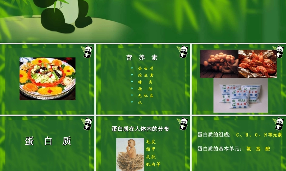 九年级化学人类重要的营养物质课件