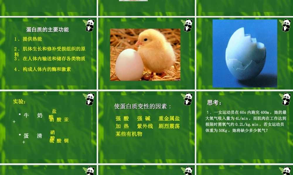 九年级化学人类重要的营养物质课件