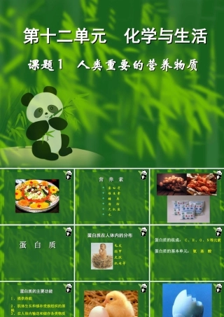 九年级化学人类重要的营养物质课件