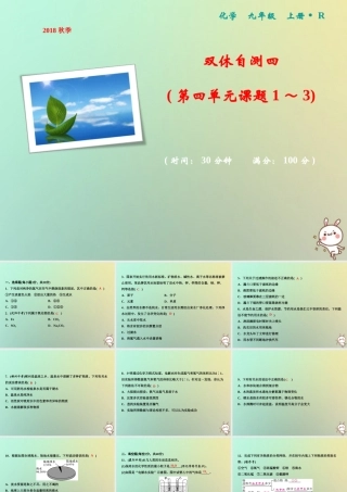 九年级化学上册 双休自测四(第四单元 课题1 3)作业课件 (新版)新人教版 课件