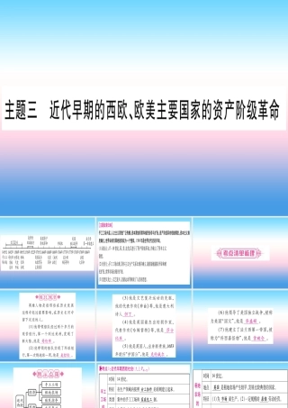 (云南专用)中考历史总复习 第一篇 考点系统复习 板块4 世界古、近代史 主题三 近代早期的西欧、欧美主要国家的资产阶九年级革命(精讲)课件