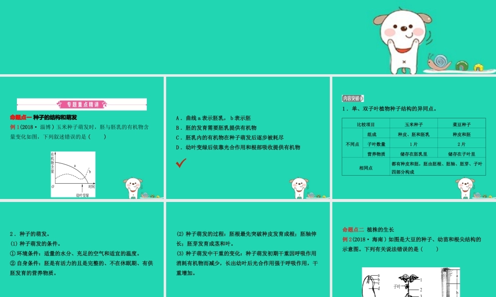 (江西专版)中考生物 第2部分 专题三 绿色开花植物的一生复习课件