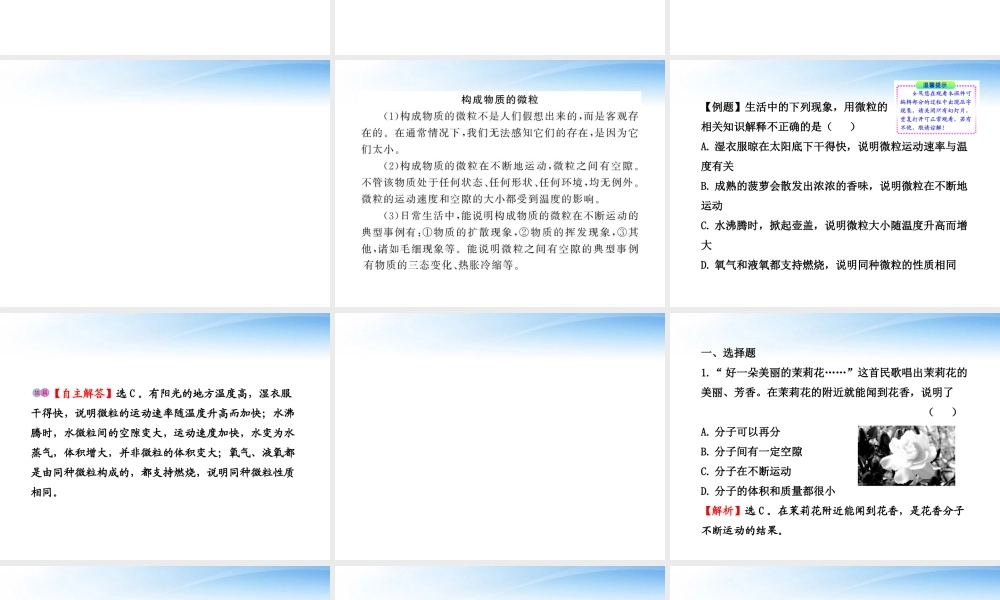 九年级化学上册 31用微粒的观点看物质配套课件 沪教版 课件