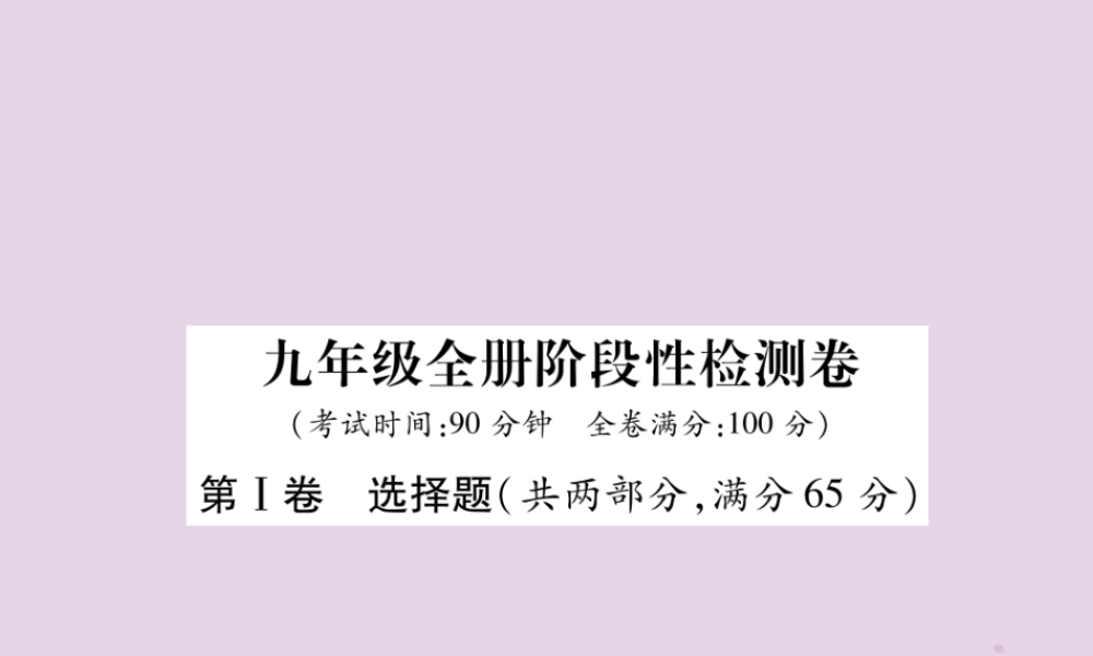 中考英语总复习 第一篇 教材知识梳理篇 九全 阶段性检测卷课件