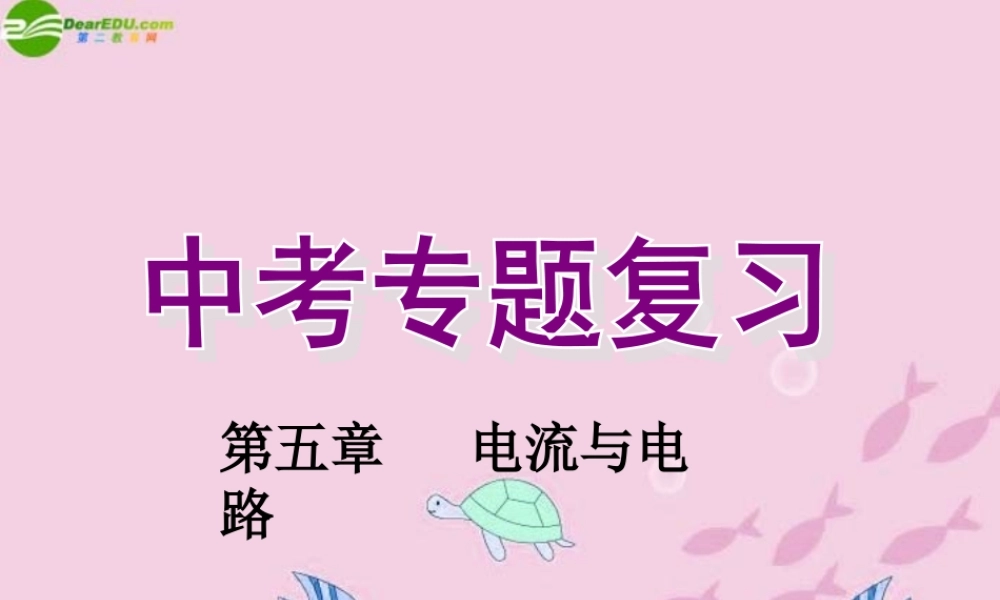 中考物理 (电流电路)复习课件 人教新课标版 课件