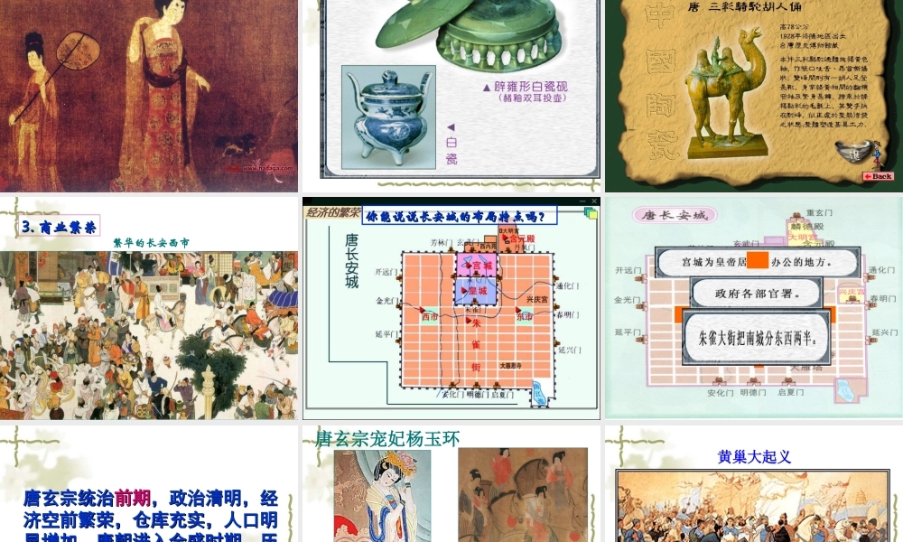 七年级历史下册 1.3(从武周政治到开元盛世)课件 华东师大版 课件