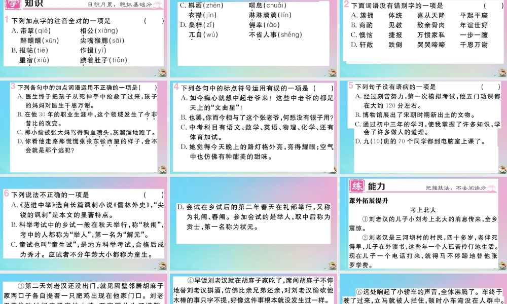 (贵州专版)九年级语文上册 第六单元 22 范进中举作业课件 新人教版 课件