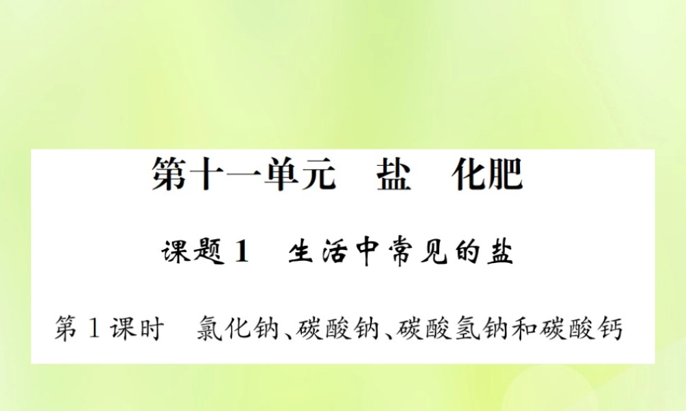 九年级化学下册 第十一单元 盐 化肥 课题1 第1课时 氯化钠、碳酸钠、碳酸氢钠和碳酸钙复习课件 (新版)新人教版 课件