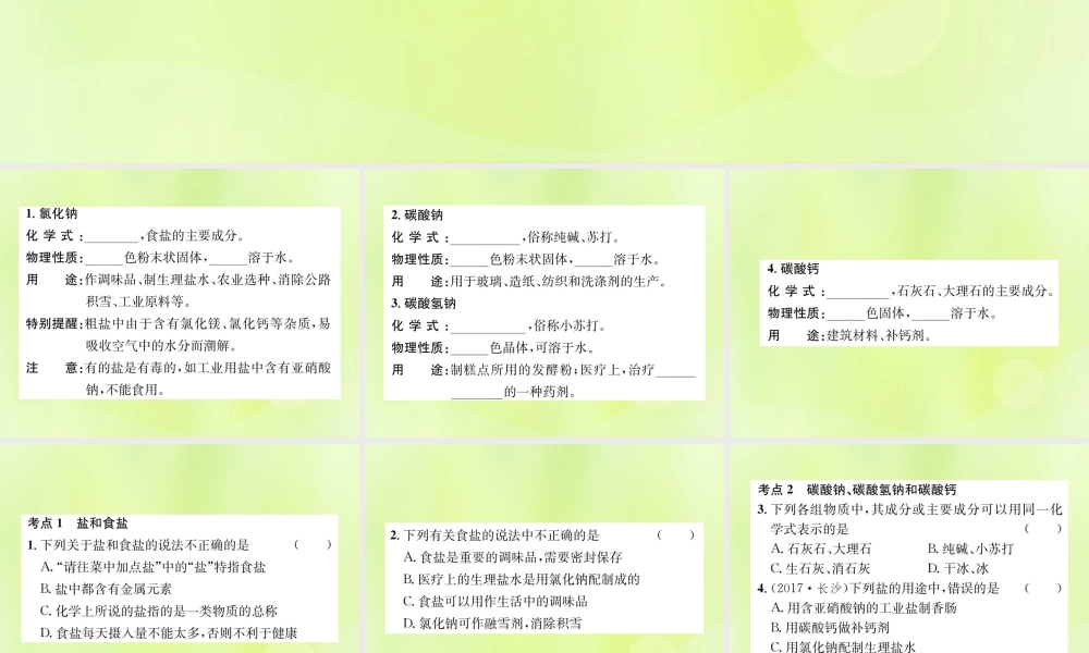 九年级化学下册 第十一单元 盐 化肥 课题1 第1课时 氯化钠、碳酸钠、碳酸氢钠和碳酸钙复习课件 (新版)新人教版 课件