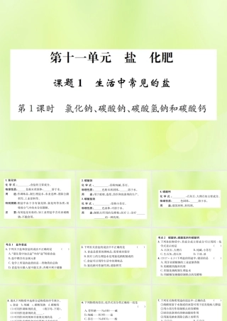 九年级化学下册 第十一单元 盐 化肥 课题1 第1课时 氯化钠、碳酸钠、碳酸氢钠和碳酸钙复习课件 (新版)新人教版 课件