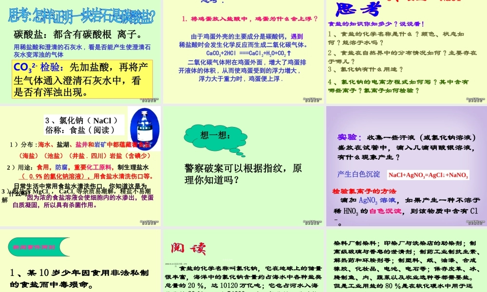 九年级化学新课程几种常见的盐课件 浙教版 课件