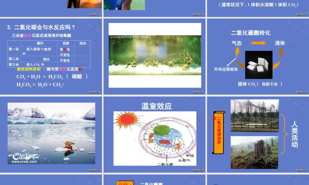 九年级化学二氧化碳的性质课件 新课标 人教版 课件