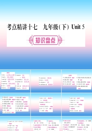 中考英语准点备考 第一部分 教材系统复习 考点精讲十七 九下 Unit 5课件