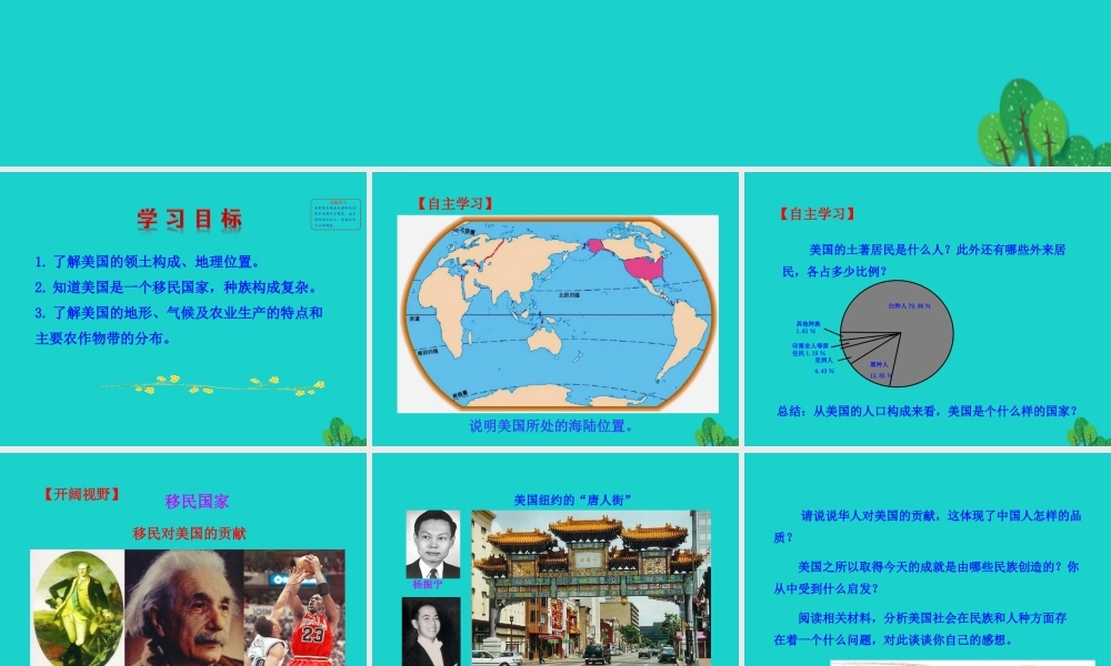 七年级地理下册 第九章 第一节 美国(一民族大熔炉 农业地区专业化)课件 七年级地理下册 第九章 第一节 美国课件+素材(新版)新人教版