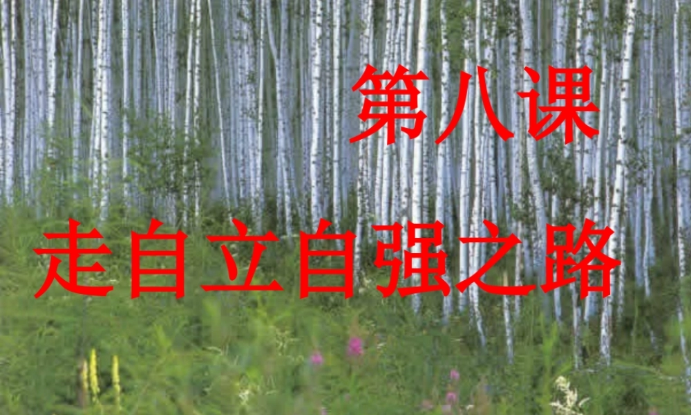 七年级政治第八课走自立自强之路课件鲁人版 课件