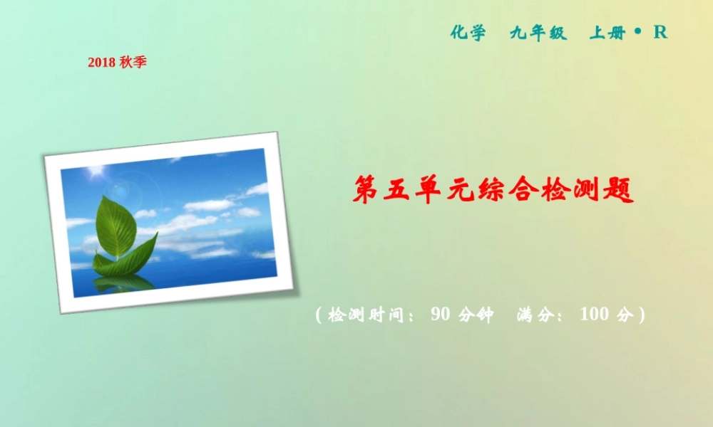 九年级化学上册 第5单元 化学方程式综合检测卷作业课件 (新版)新人教版 课件