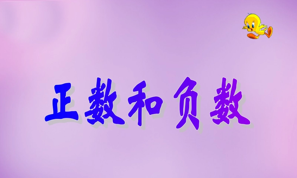 七年级数学上册 1.1 正数和负数课件 新人教版 课件