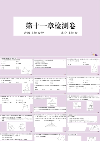 (通用)秋八年级数学上册 第十一章 三角形检测卷习题讲评课件 (新版)新人教版 课件