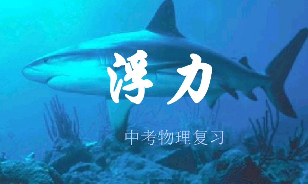 中考物理复习浮力课件示例 苏教版 课件