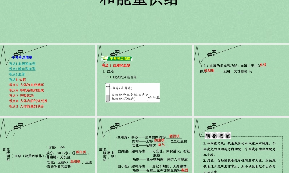 中考生物 第一部分 教材知识梳理 第4单元 第10章 人体内的物质运输和能量供给复习课件 苏教版 课件