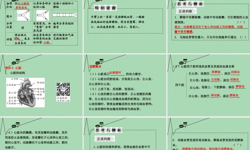 中考生物 第一部分 教材知识梳理 第4单元 第10章 人体内的物质运输和能量供给复习课件 苏教版 课件