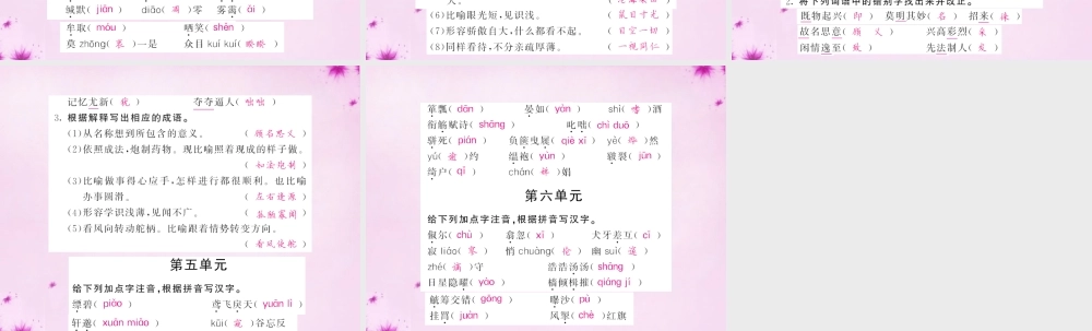 中考语文 第一轮 复习教材 夯基固本 八下 语音、汉字、词语梳理课件 新人教版 课件