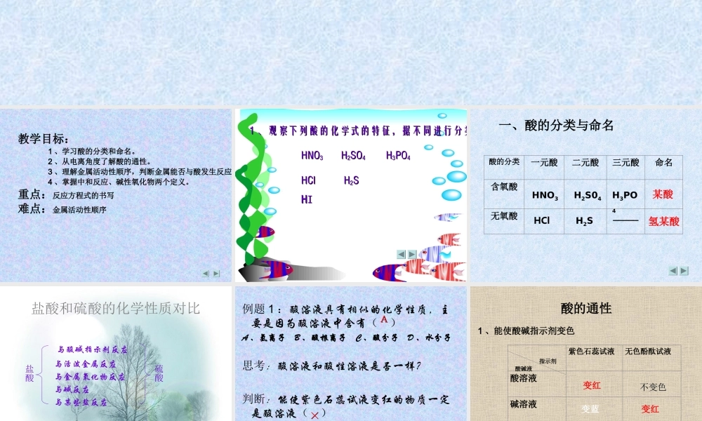 九年级化学 酸的通性 PH 课件