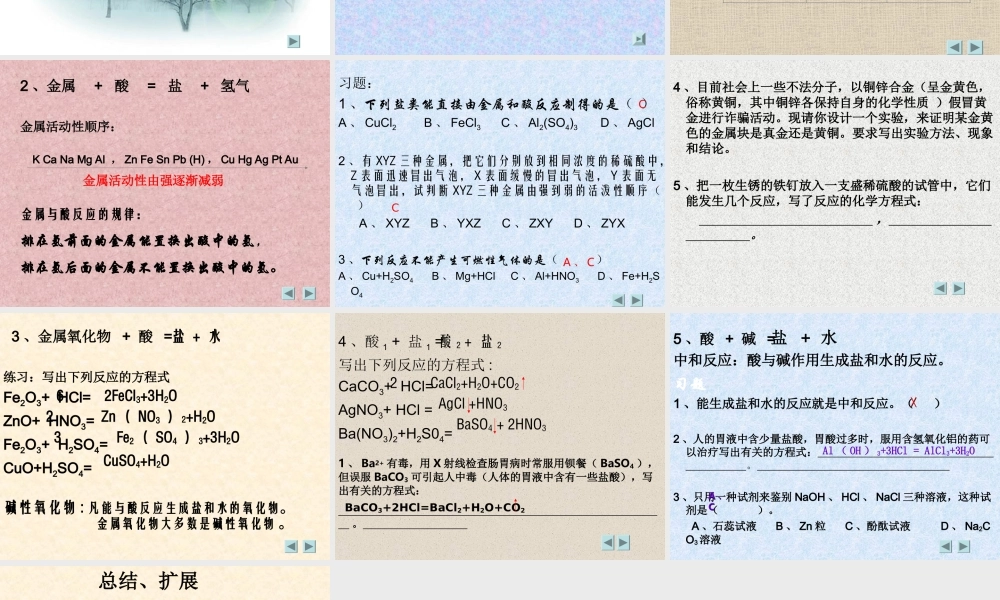 九年级化学 酸的通性 PH 课件