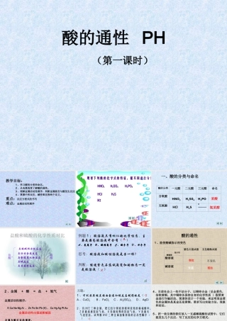 九年级化学 酸的通性 PH 课件