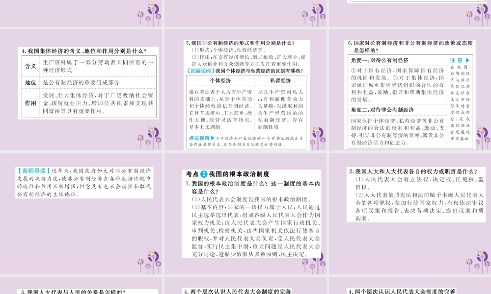 中考道德与法治总复习 八下 第三单元 人民当家作主课件