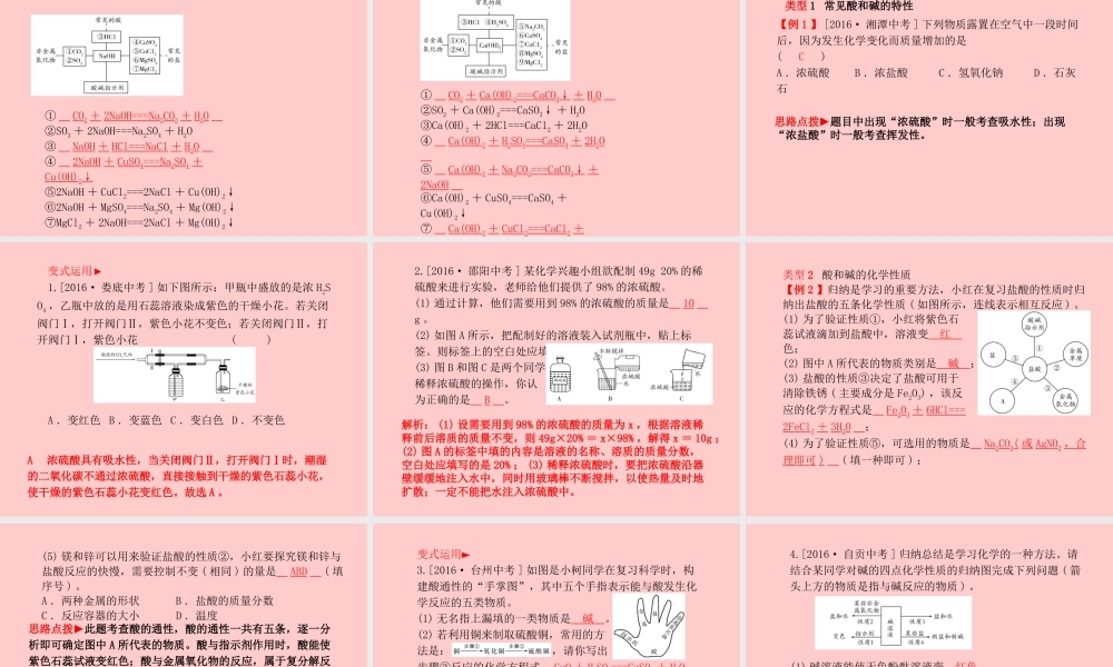 (滨州专版)中考化学总复习 第一部分 系统复习 成绩基石 第七单元 常见的酸和碱 第1课时 酸和碱的性质课件 鲁教版 课件