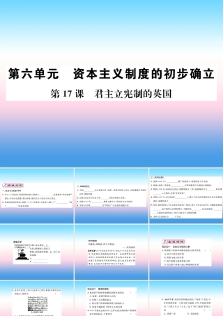 九年级历史上册 第6单元 资本主义制度的的初步确立 第17课 君主立宪制的英国作业课件 新人教版 课件