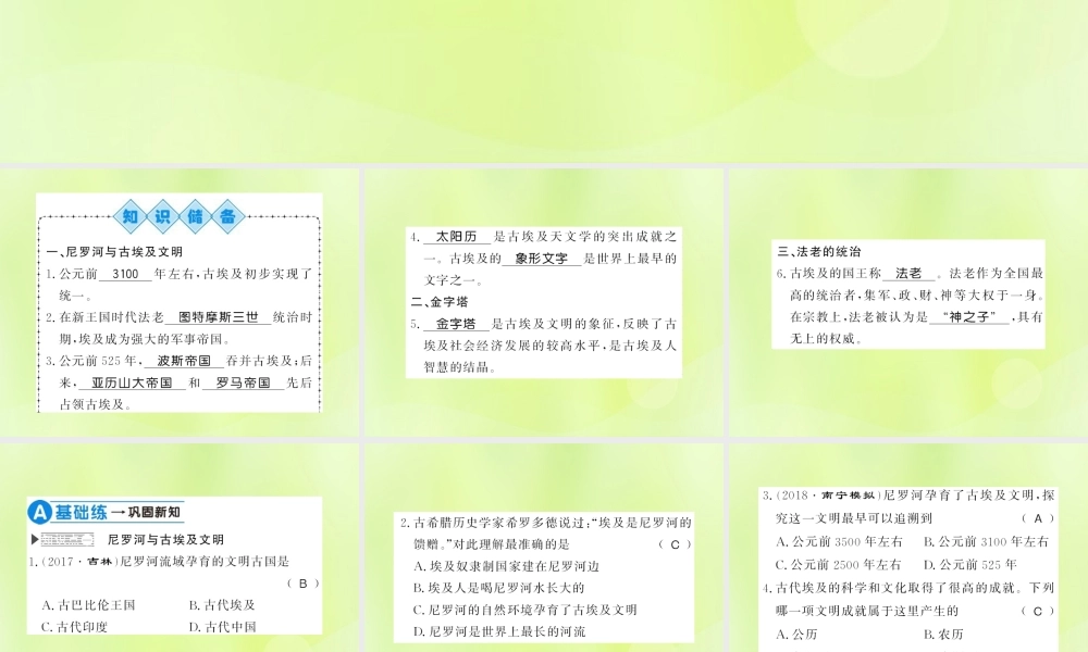 九年级历史上册 第1单元 古代亚非文明 第1课 古代埃及习题课件 新人教版 课件