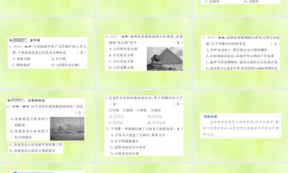 九年级历史上册 第1单元 古代亚非文明 第1课 古代埃及习题课件 新人教版 课件