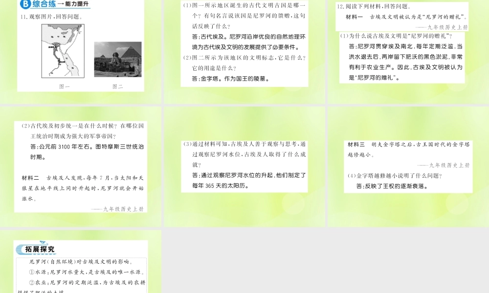 九年级历史上册 第1单元 古代亚非文明 第1课 古代埃及习题课件 新人教版 课件