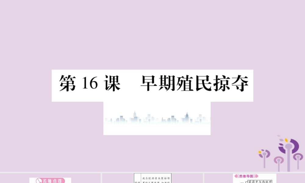 九年级历史上册 第5单元 步入近代 第16课 早期殖民掠夺习题课件 新人教版 课件