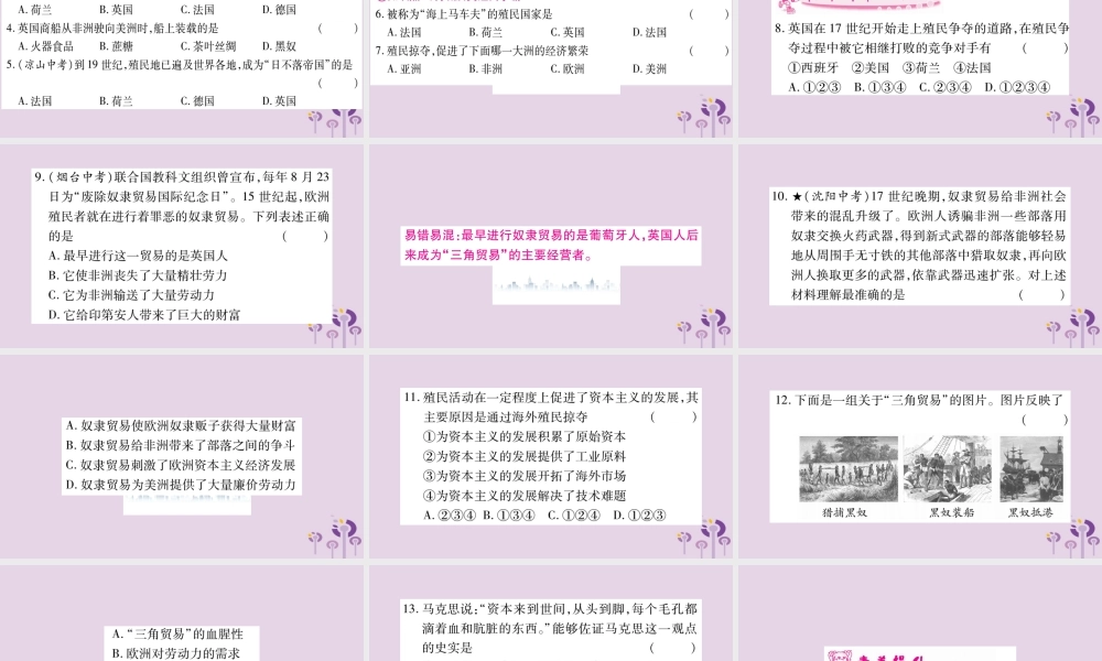 九年级历史上册 第5单元 步入近代 第16课 早期殖民掠夺习题课件 新人教版 课件