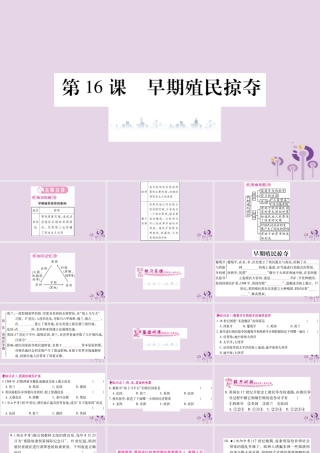 九年级历史上册 第5单元 步入近代 第16课 早期殖民掠夺习题课件 新人教版 课件