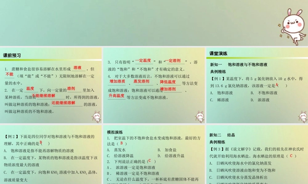 九年级化学下册 第九单元 溶液 课题2 溶解度 课时1 饱和溶液与不饱和溶液(内文)课件 (新版)新人教版 课件