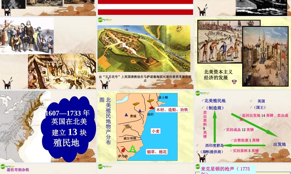 九年级历史上册 第4课为民族独立而战课件 北师大版 课件