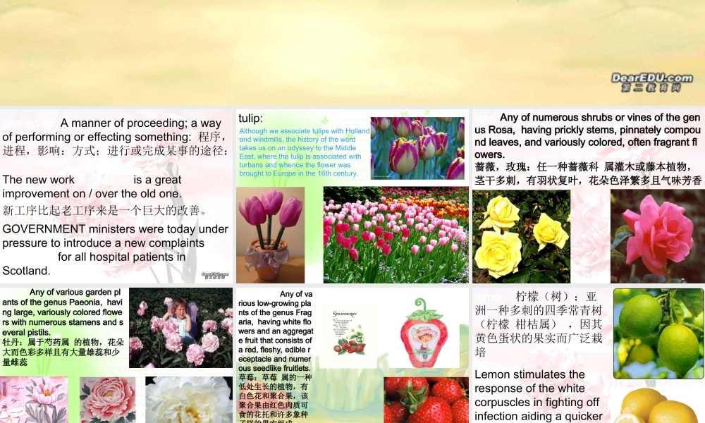 Unit4一 高三英语暑期补课Unit4课件[整理两套]新课标 人教版 高三英语暑期补课Unit4课件[整理两套]新课标 人教版