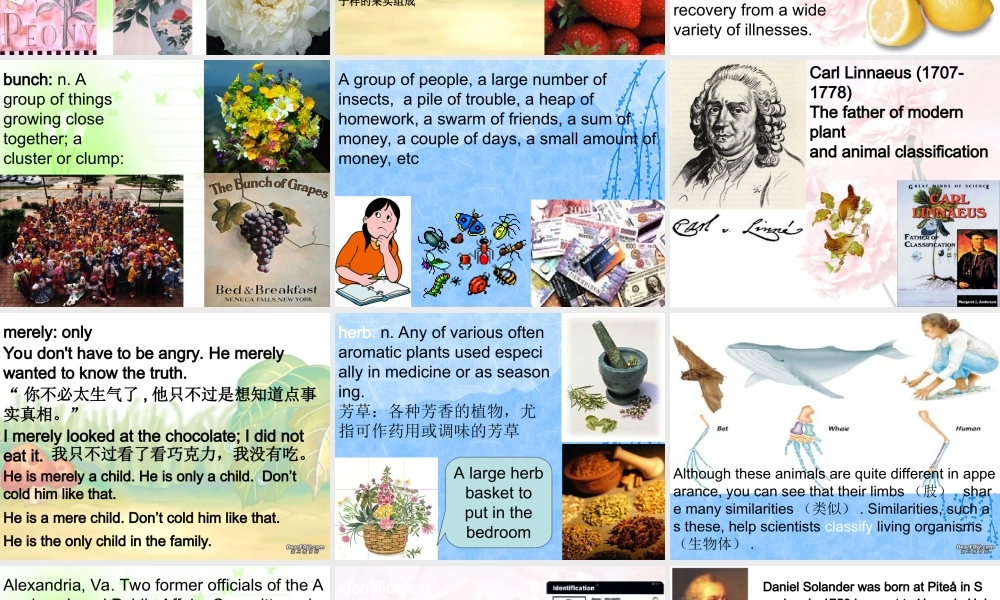 Unit4一 高三英语暑期补课Unit4课件[整理两套]新课标 人教版 高三英语暑期补课Unit4课件[整理两套]新课标 人教版