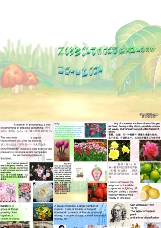 Unit4一 高三英语暑期补课Unit4课件[整理两套]新课标 人教版 高三英语暑期补课Unit4课件[整理两套]新课标 人教版