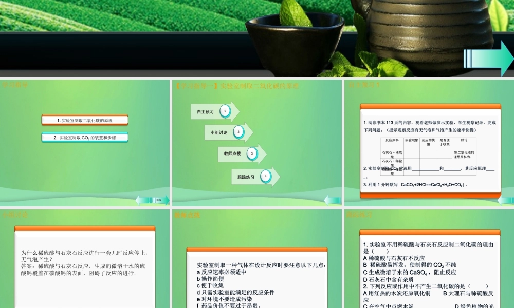 九年级化学上册 第六单元 碳和碳的氧化物 课题2 二氧化碳制取的研究课堂导学课件 (新版)新人教版 课件